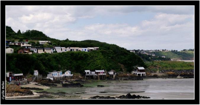 376183_4306501422694_1908415357_n